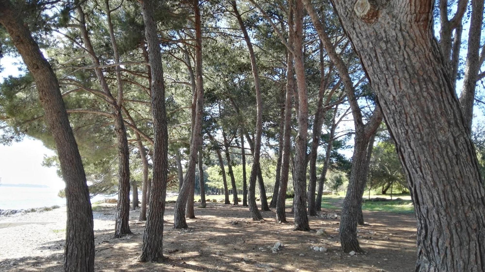 Apartment Finn Ρόβινι Εξωτερικό φωτογραφία